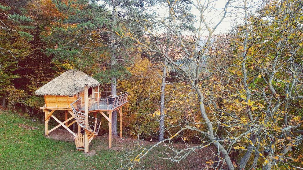 Отель Pine Point Тренчианске-Теплице Экстерьер фото
